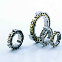 Thermisch robuste FAG-Zylinderrollenlager TR