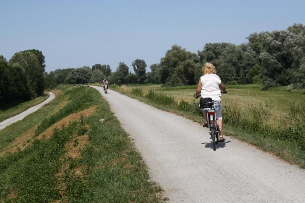 Radeln entlang des Inns
